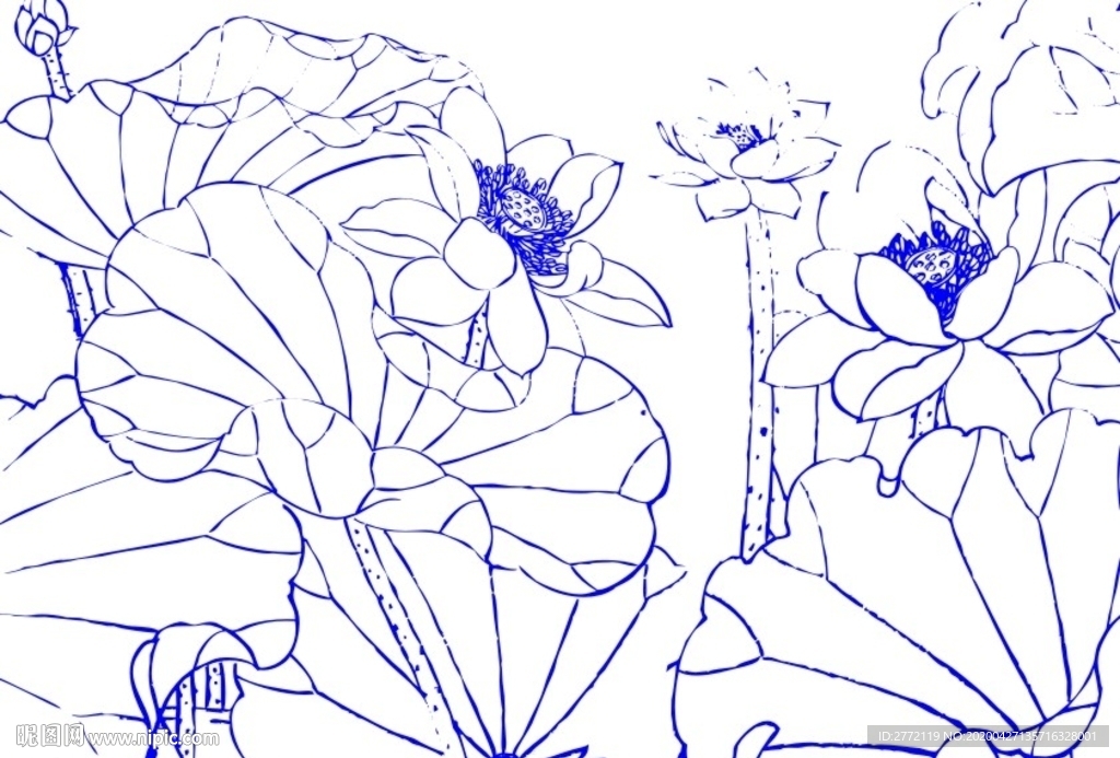 荷花秀逸  工笔画
