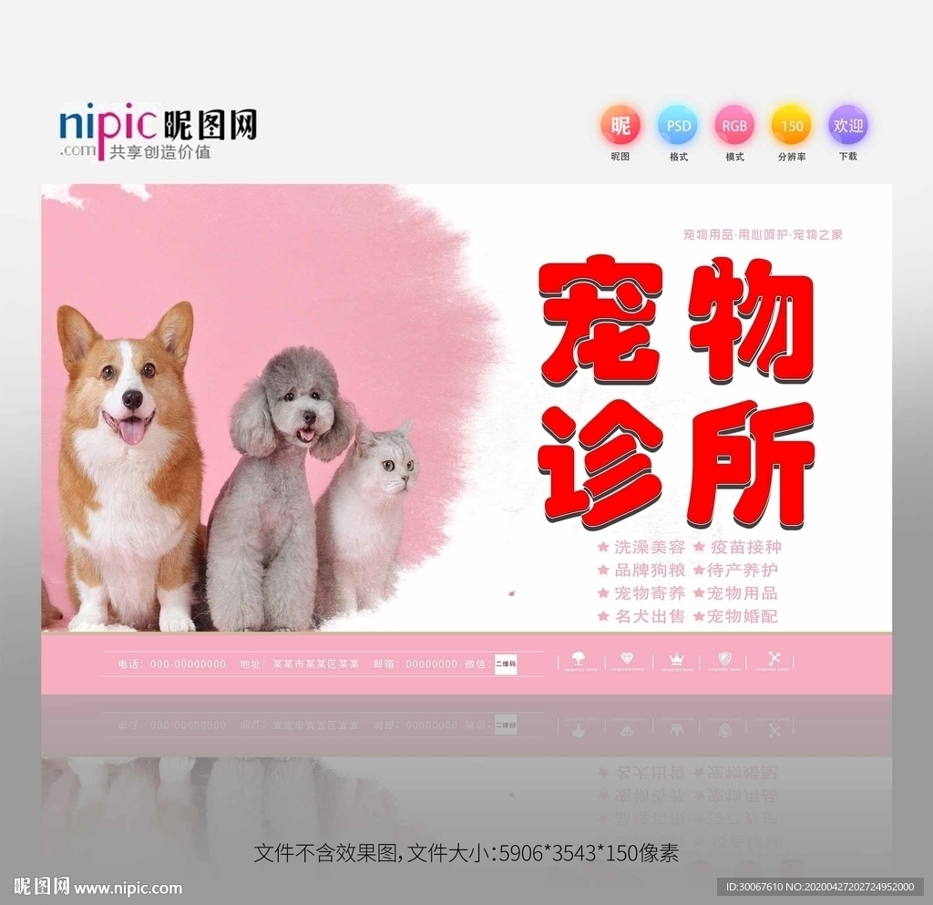 宠物诊所