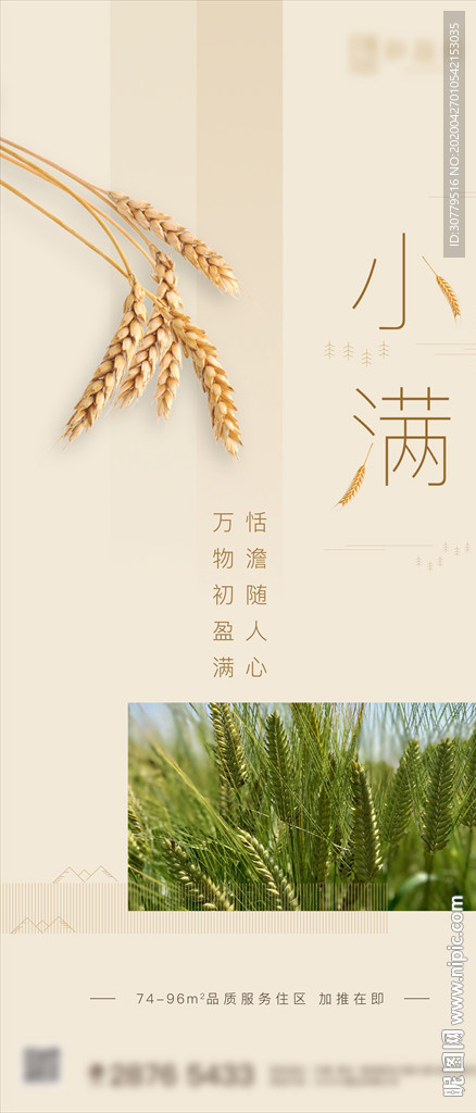 简约房地产小满节气海报