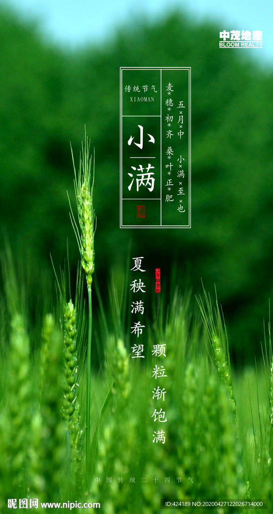 二十四节气小满微信朋友圈刷屏