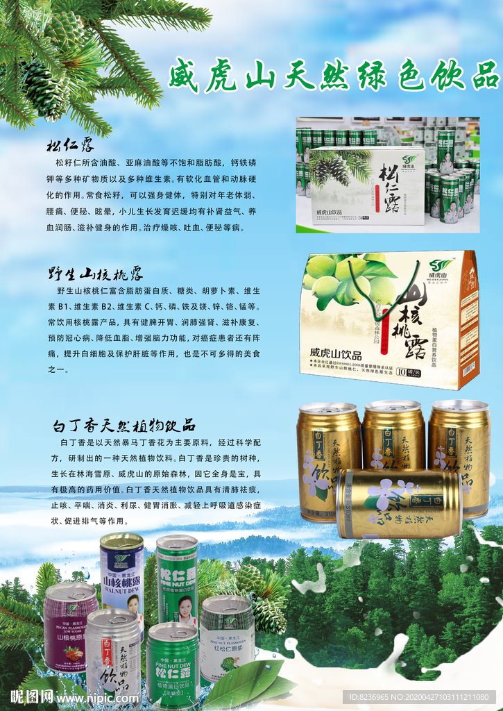 B松仁露