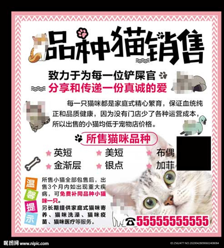 宠物猫交易销售海报宠物买卖用品
