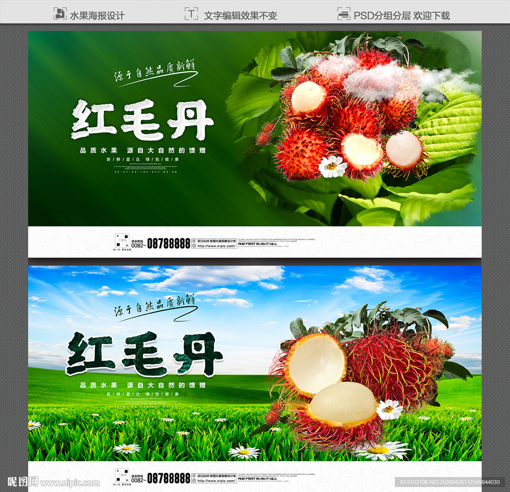 红毛丹