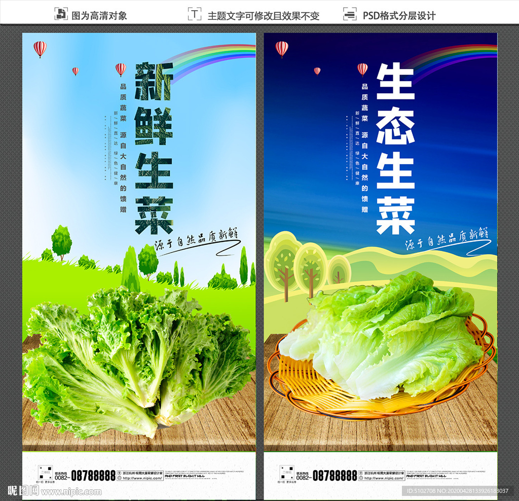 生菜