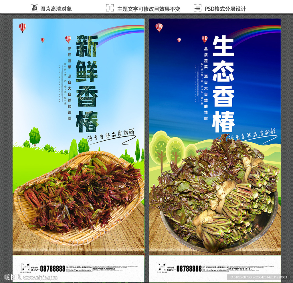 香椿