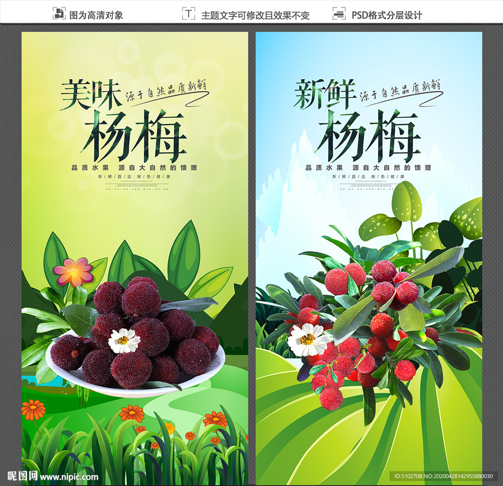 杨梅