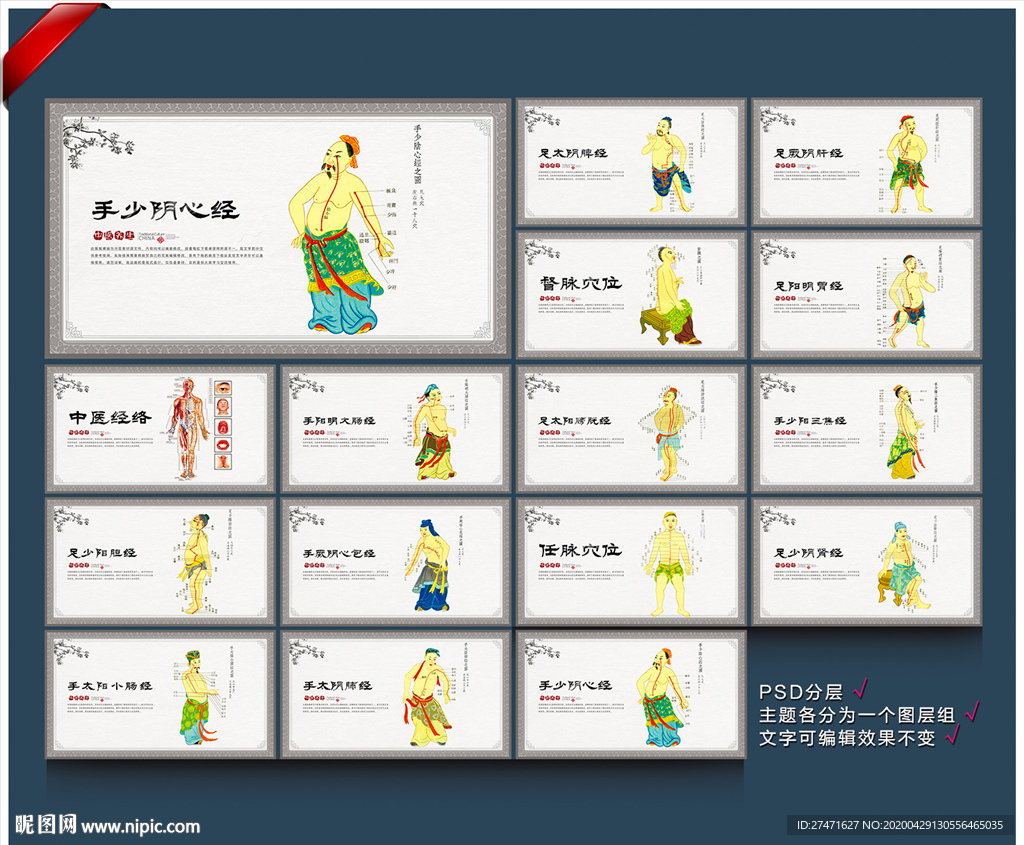穴位图