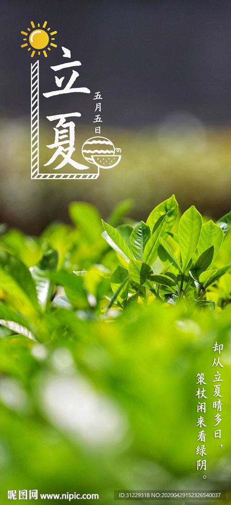 立夏节气海报摄影照片
