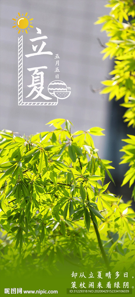 立夏节气海报摄影照片