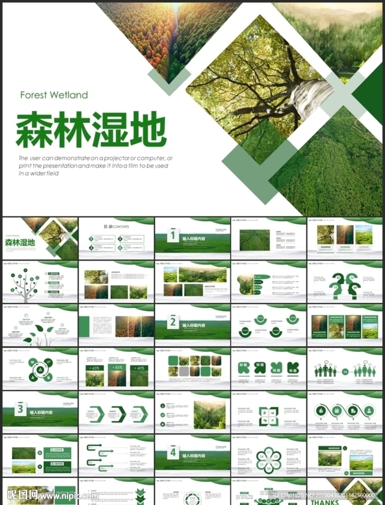 保护生态环境森林湿地PPT