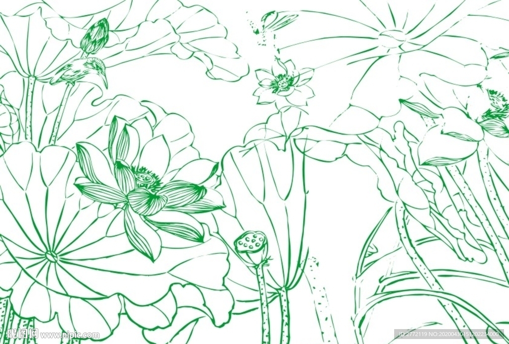 清清荷花池  美工画