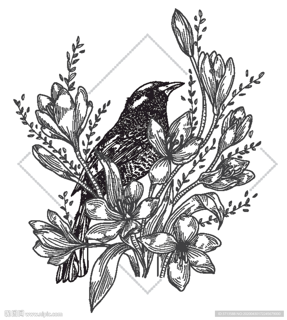 花树叶素描素材插画线条小鸟麻雀