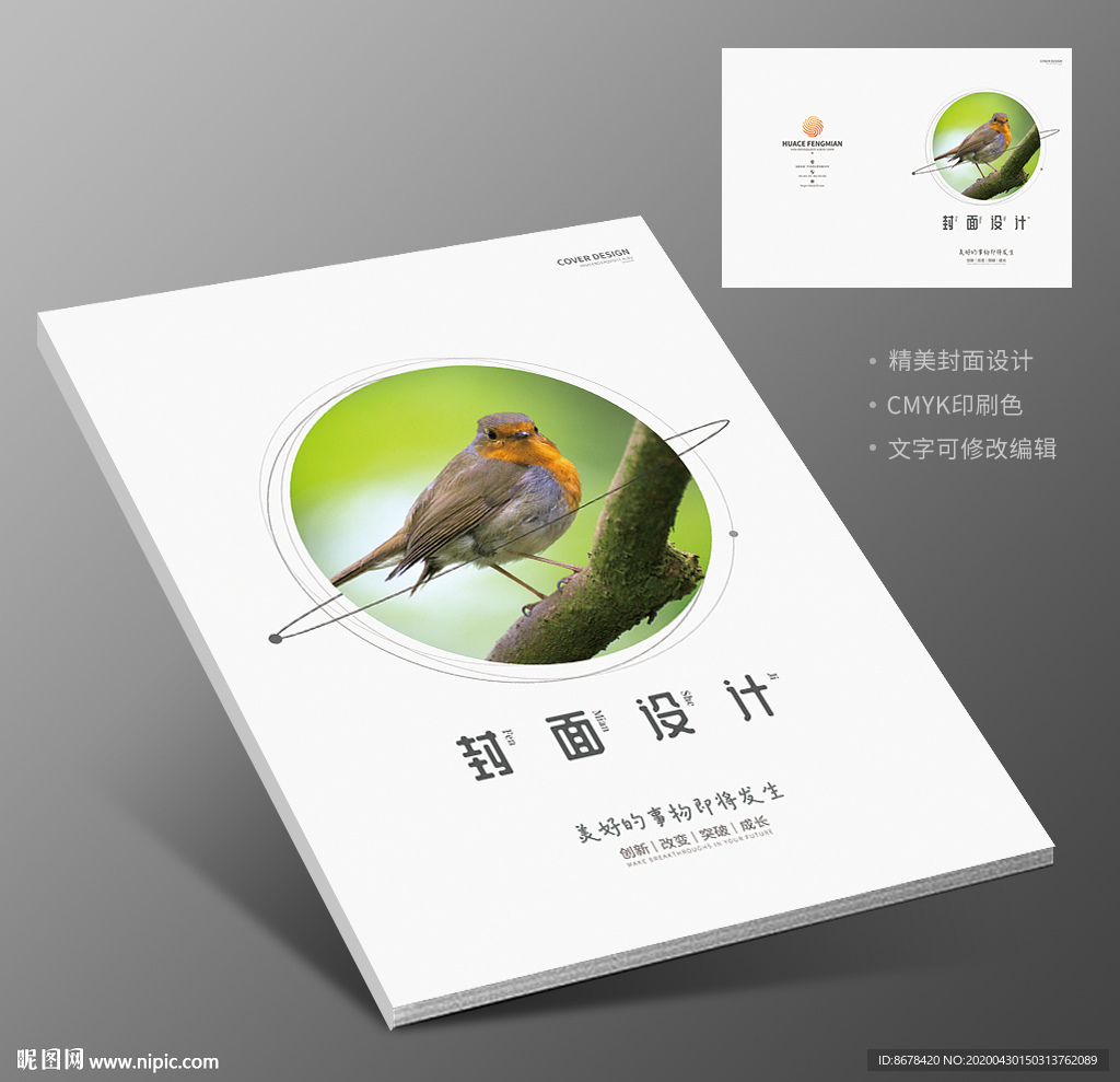 保护鸟类宣传册封面