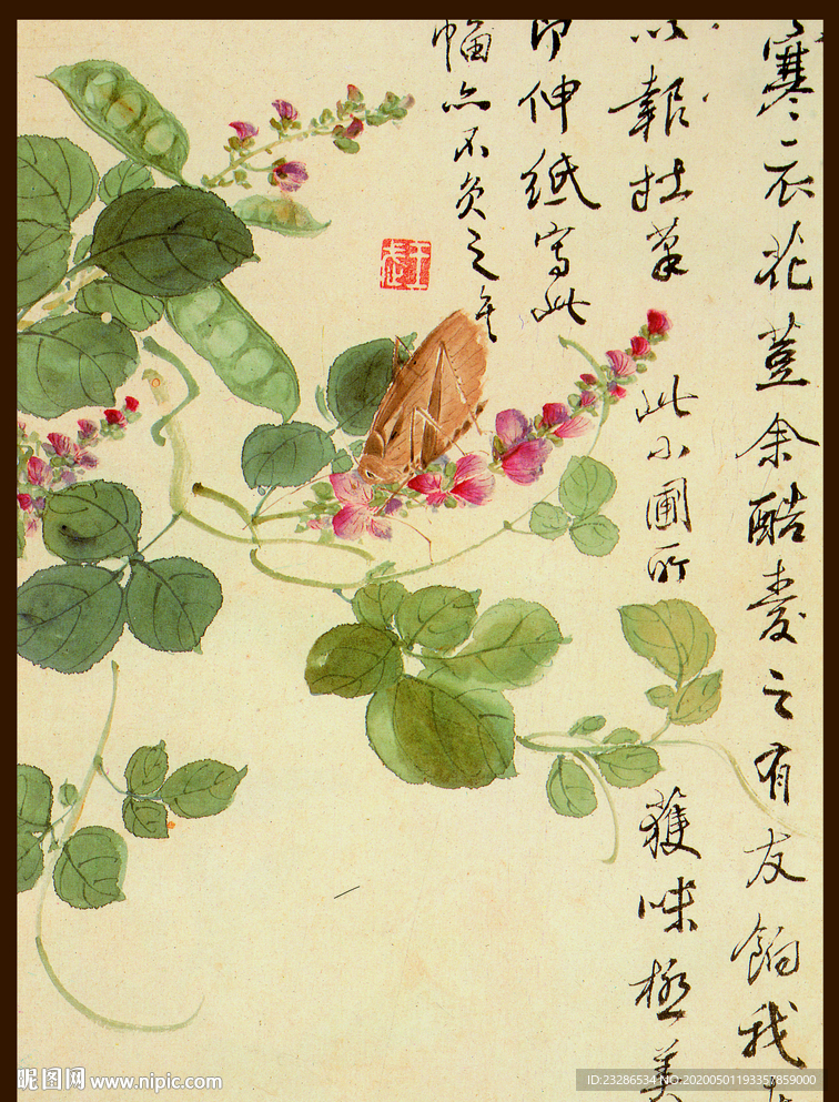 国画花朵