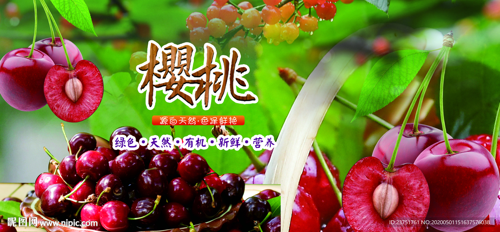 樱桃