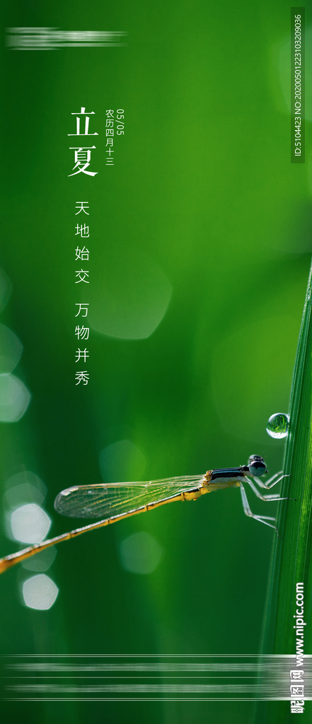 地产立夏朋友圈单图