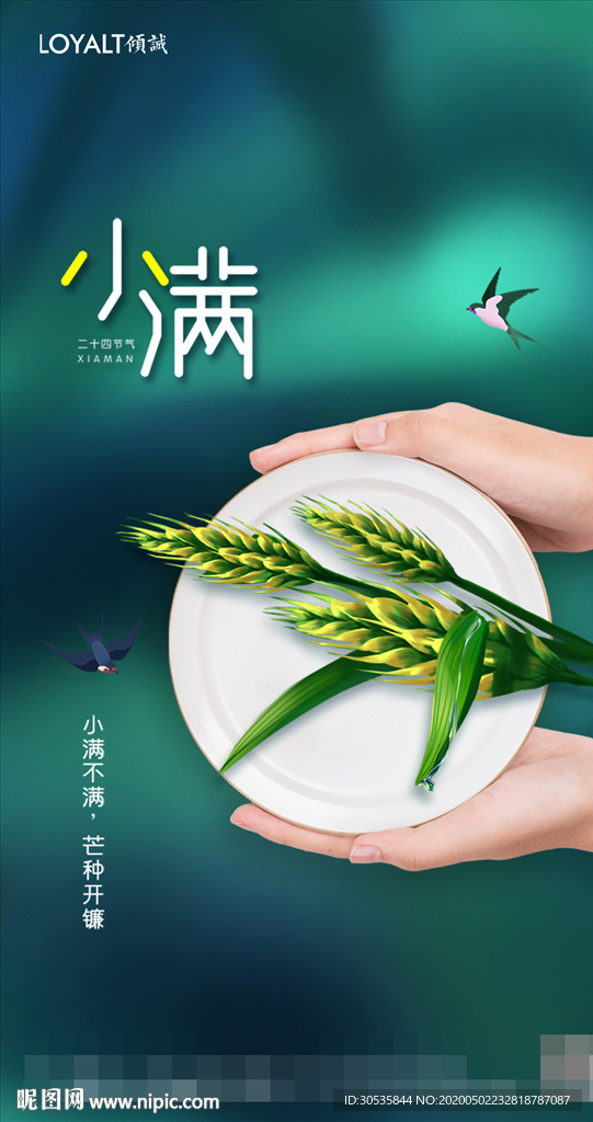 简约二十四节气小满宣传海报