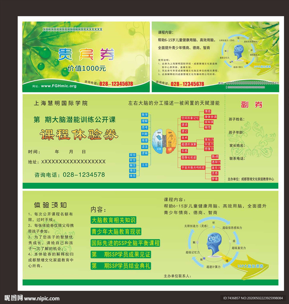 最强大脑 体验券 课程券