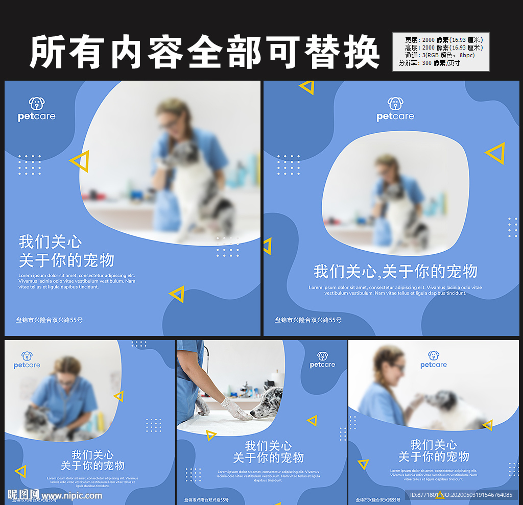 宠物海报展板图片
