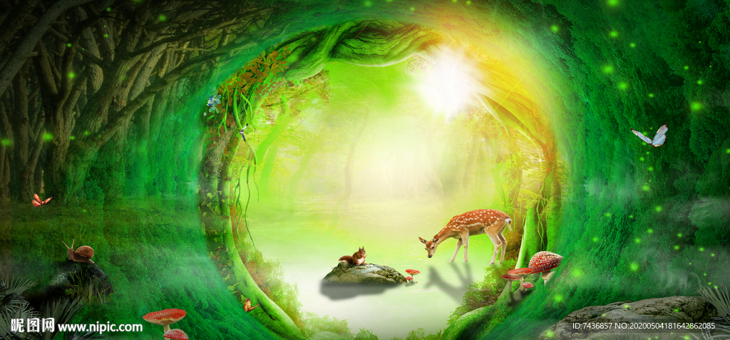 森林  梦幻之境
