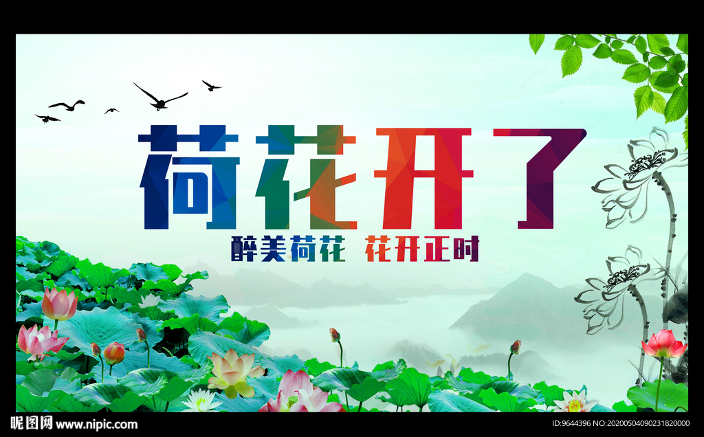 荷花开了