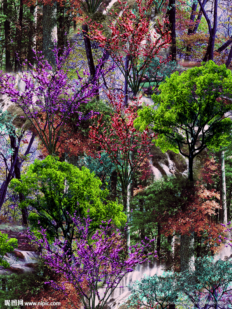 数码印花 女装印花