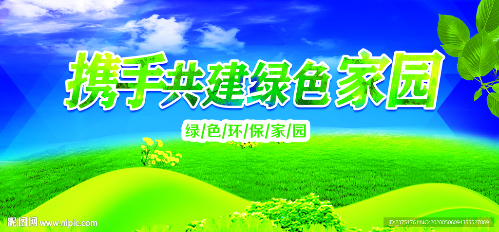 爱护树木