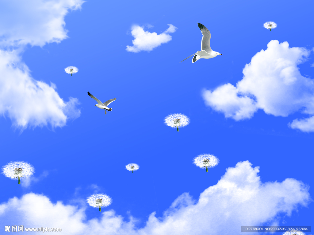 蒲公英蓝天白云