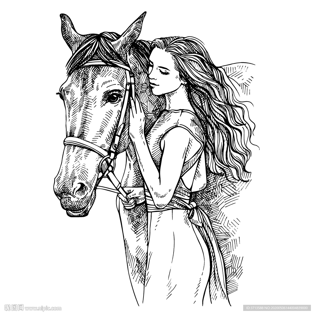 美女和马插画素描矢量素材