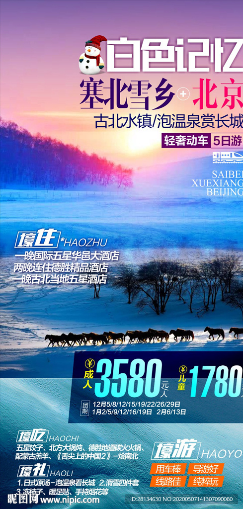 塞北雪海报