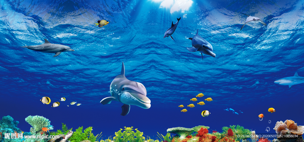 海洋生物