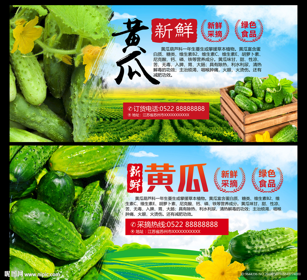 黄瓜