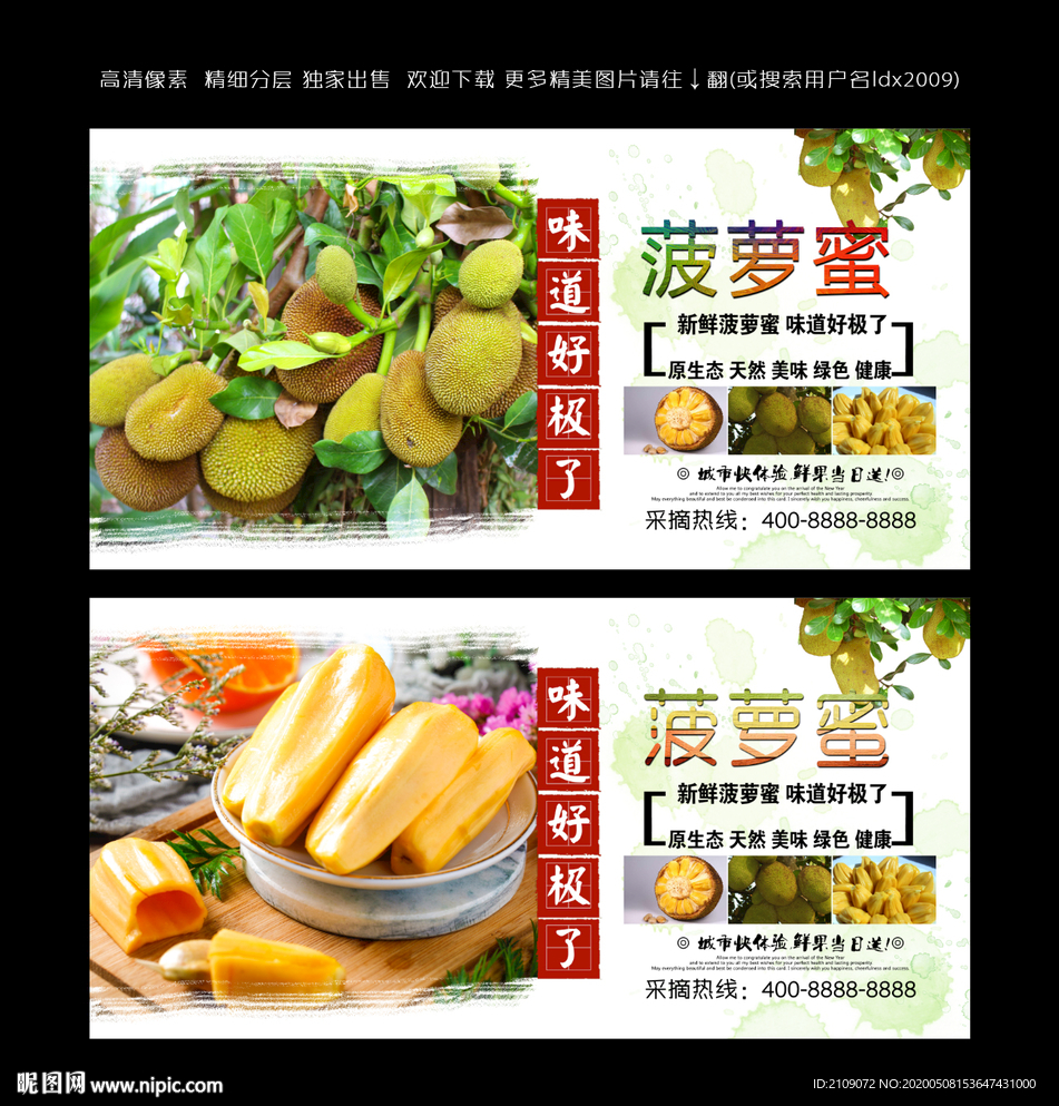 菠萝蜜