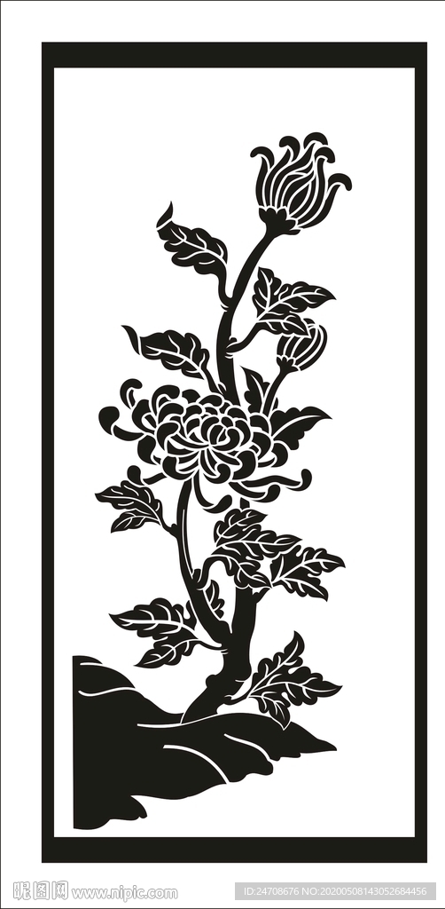 菊花