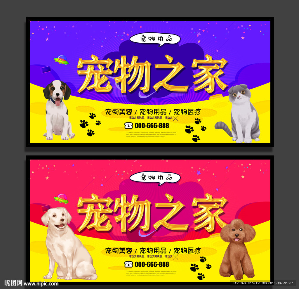 宠物