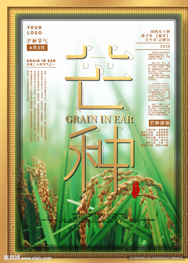 芒种