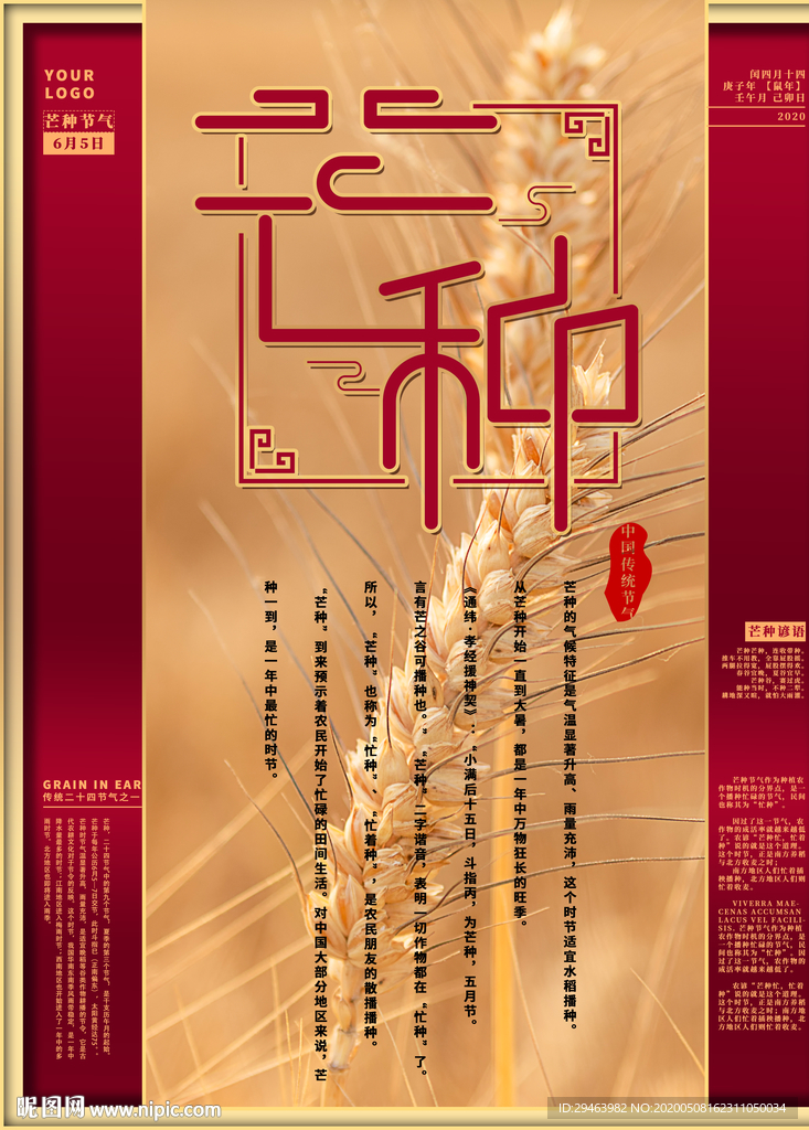 芒种