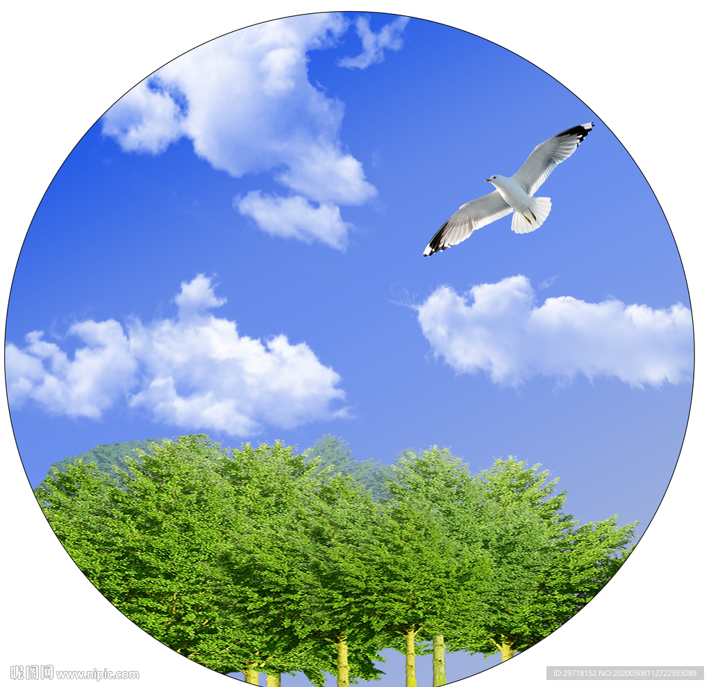 圆形树木蓝天白云