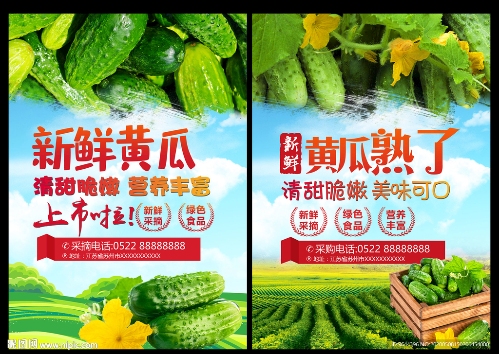 黄瓜海报