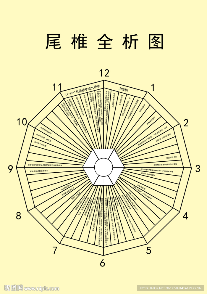 尾椎图