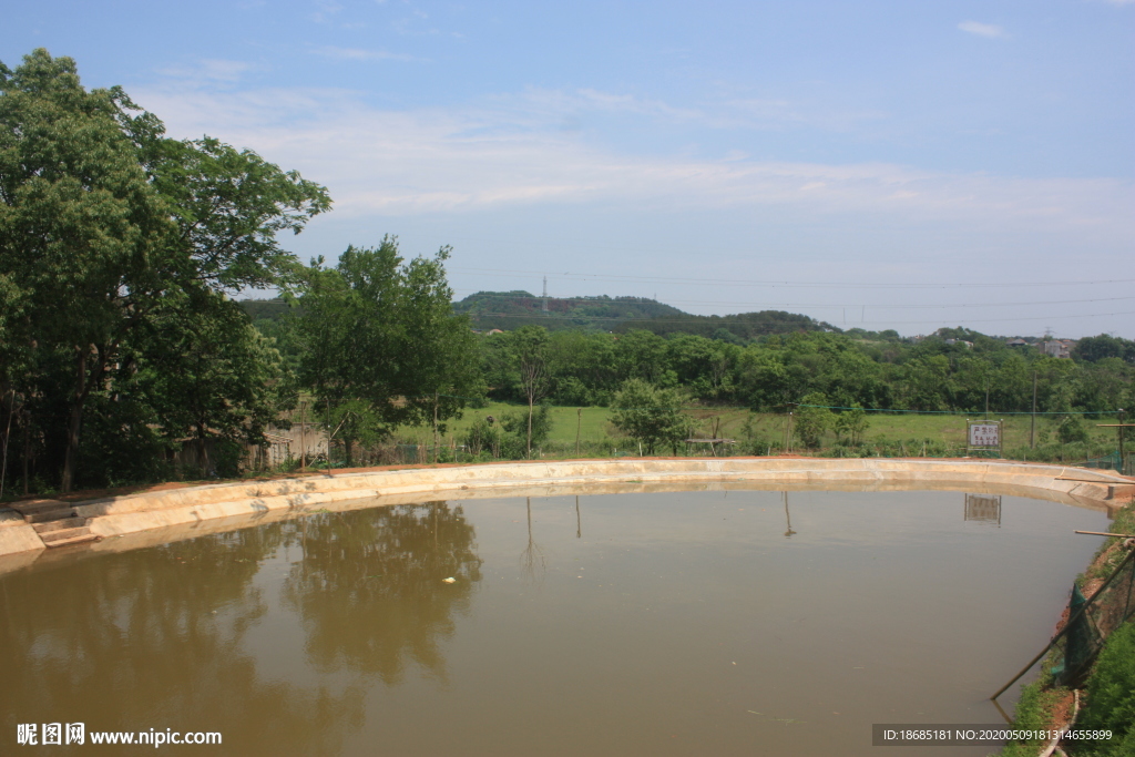 池塘