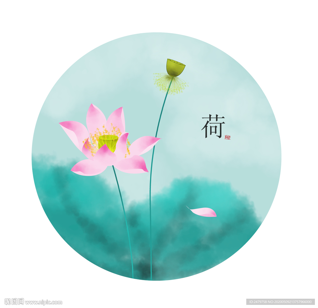 荷花