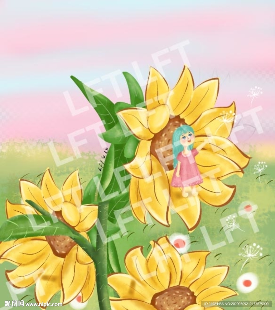 向日葵