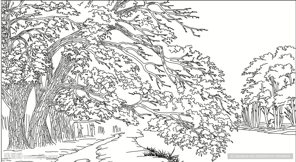 发财树 招财森林 风景 树