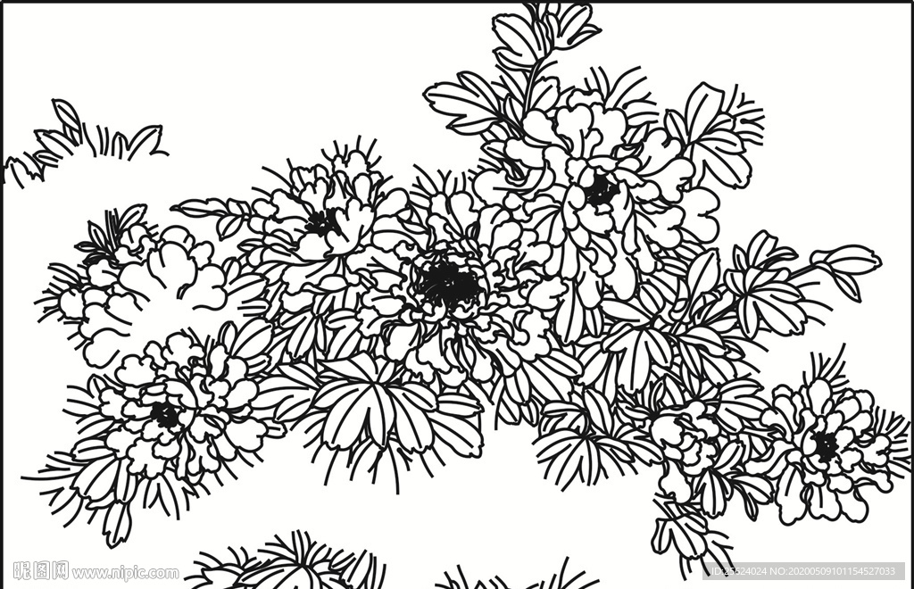 牡丹  富贵荣华