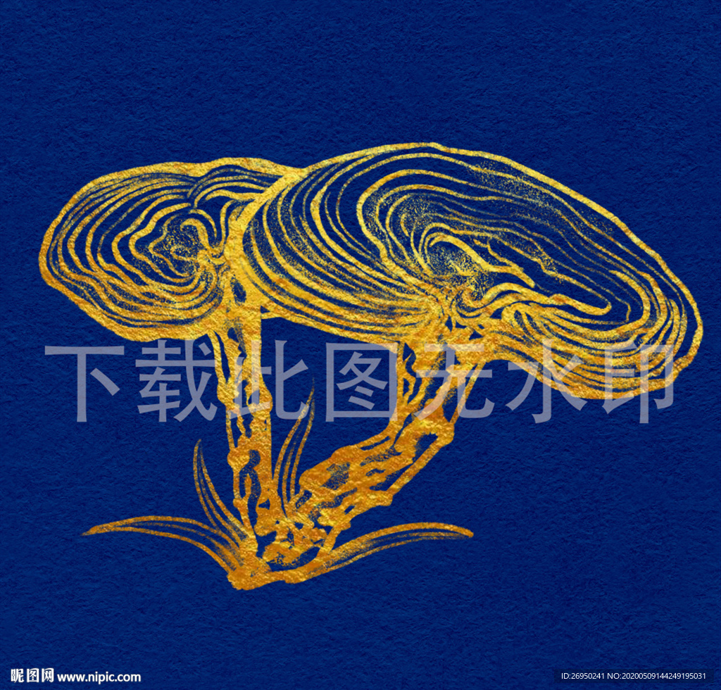 灵芝手绘