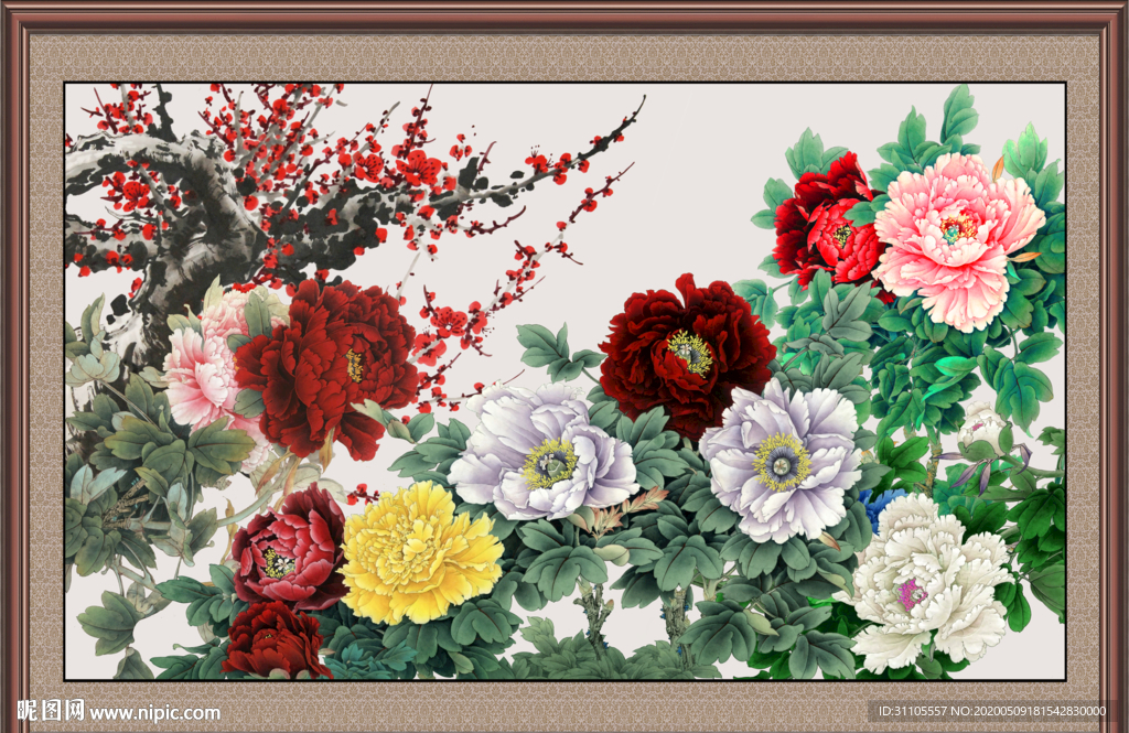 花开富贵 牡