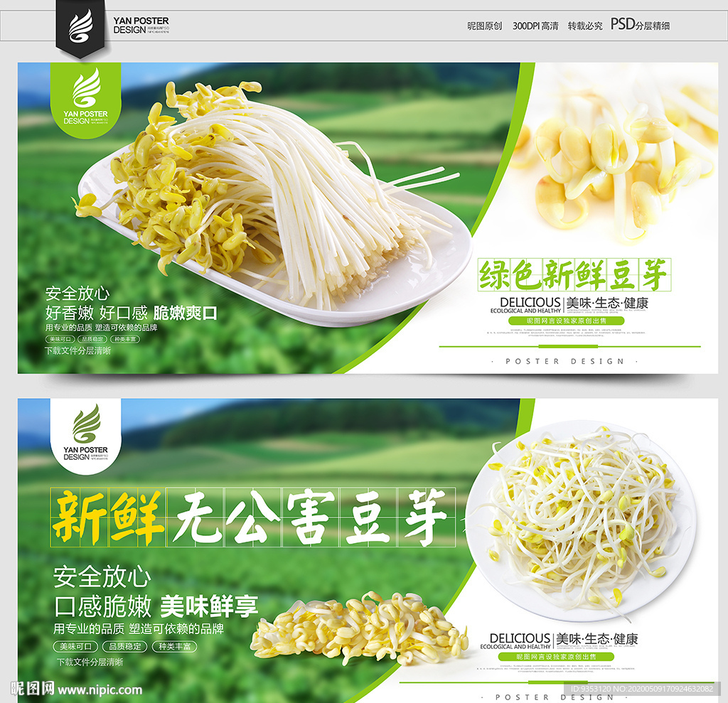 豆芽