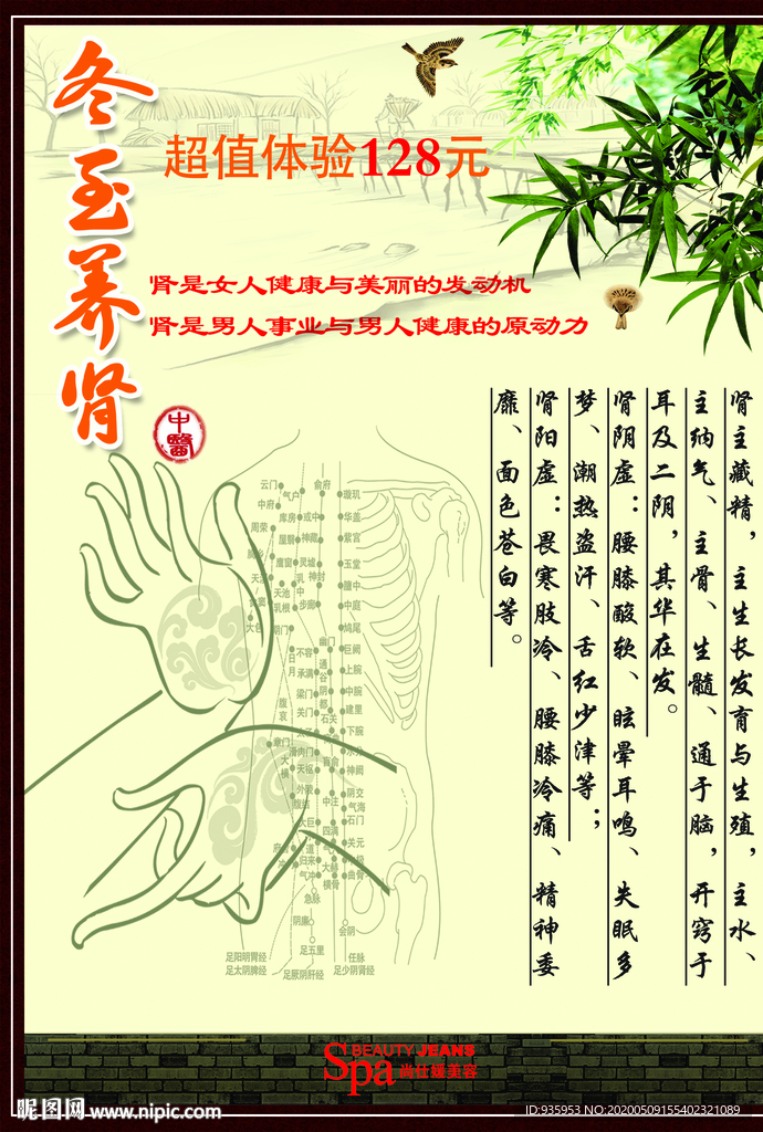 经络养生 中医养生