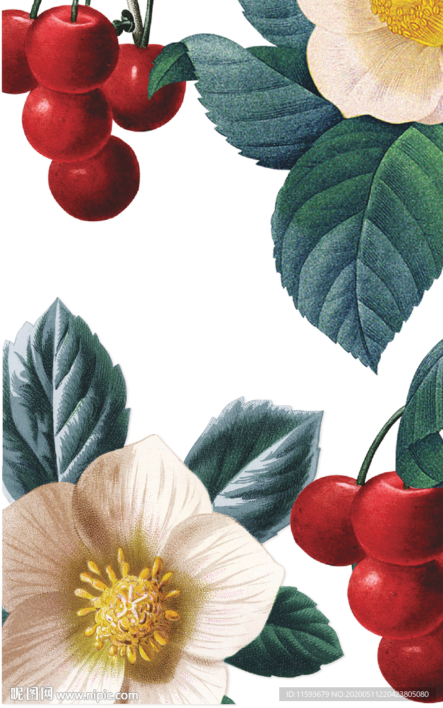鲜花